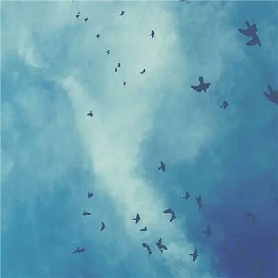 幻世西游手机版下载